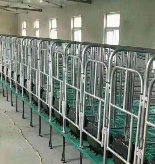 泊头市落地式母猪产床保育两用落地式一体分娩床单体猪用设备母猪定位栏