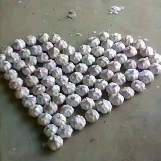 中牟县中牟紫皮大蒜