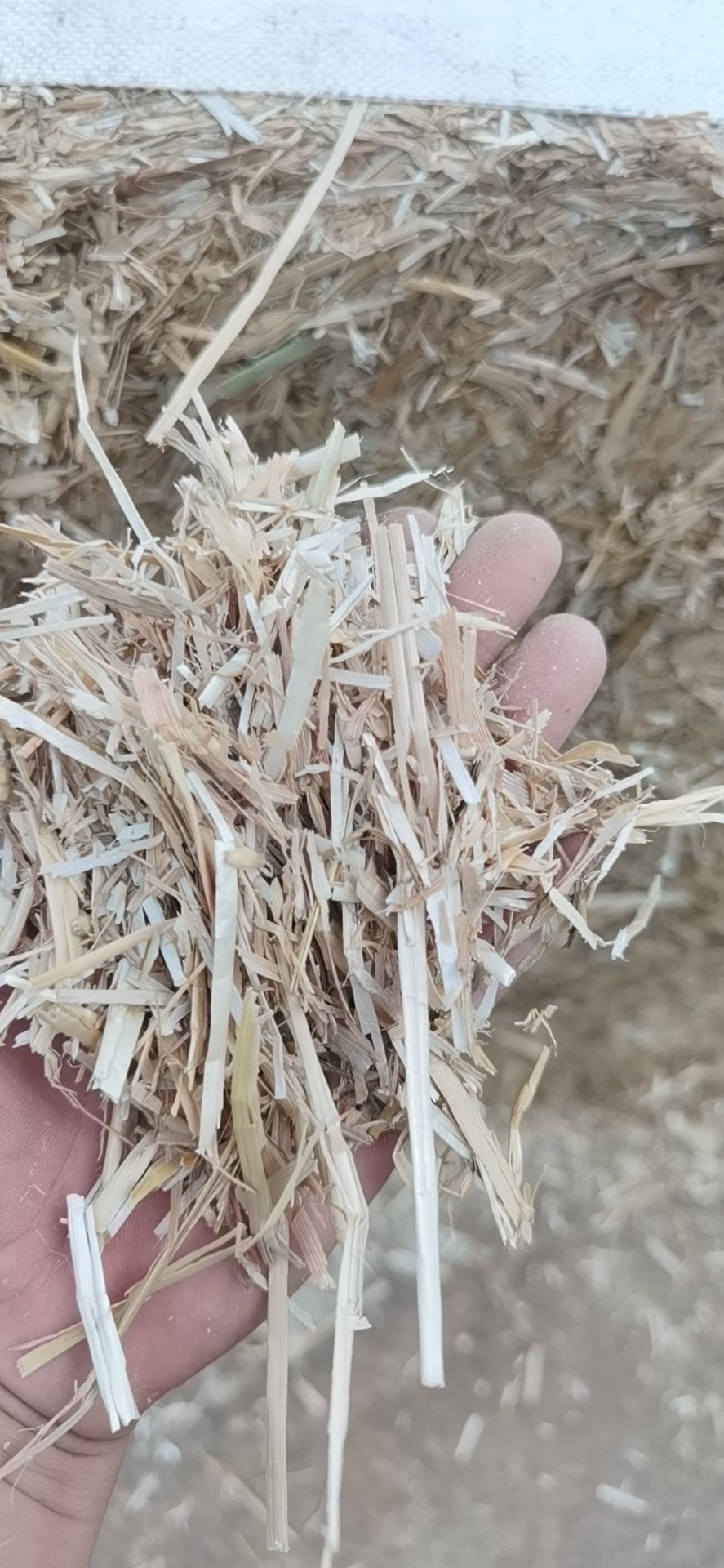 小麦柔丝过筛牛羊草料