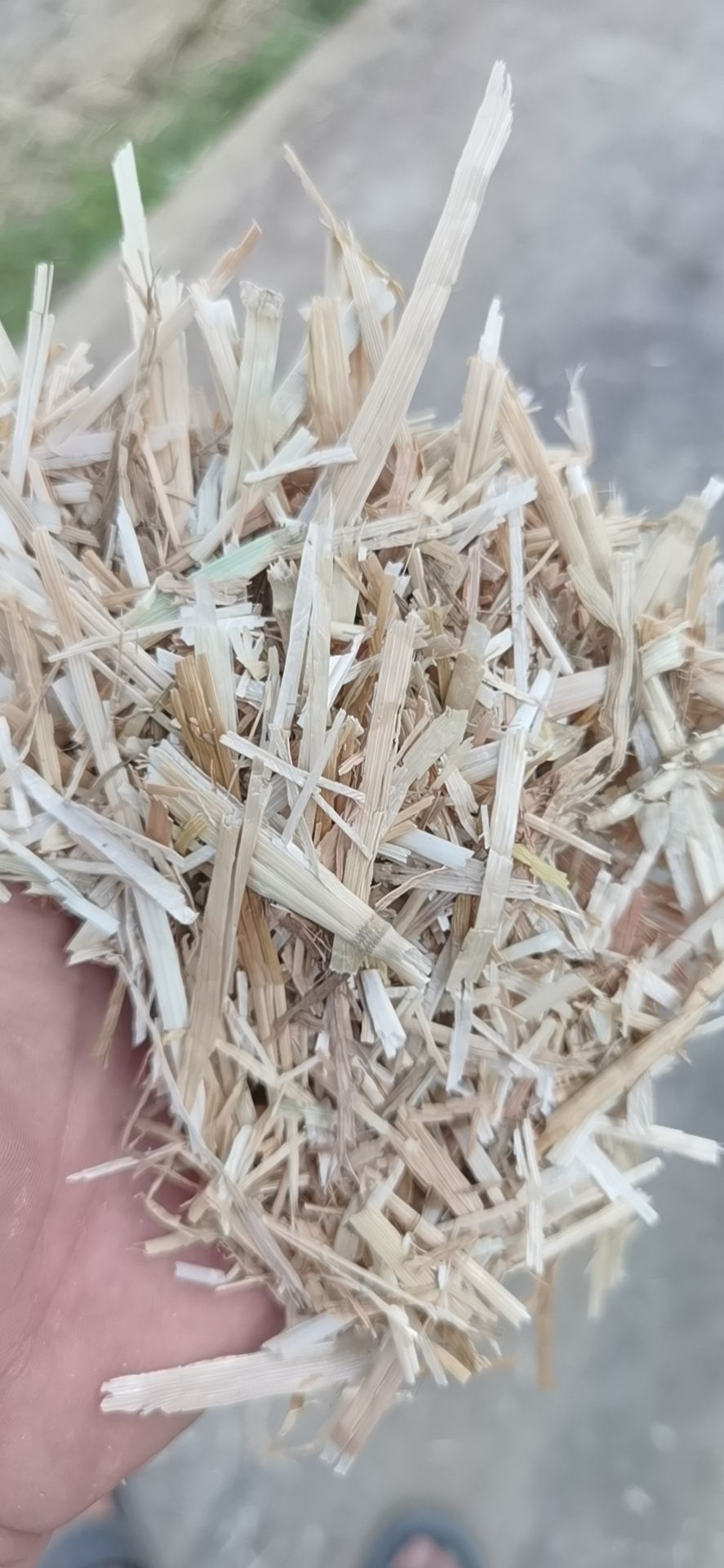 小麦柔丝过筛牛羊草料