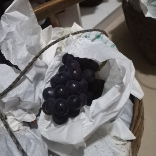成都巨峰葡萄