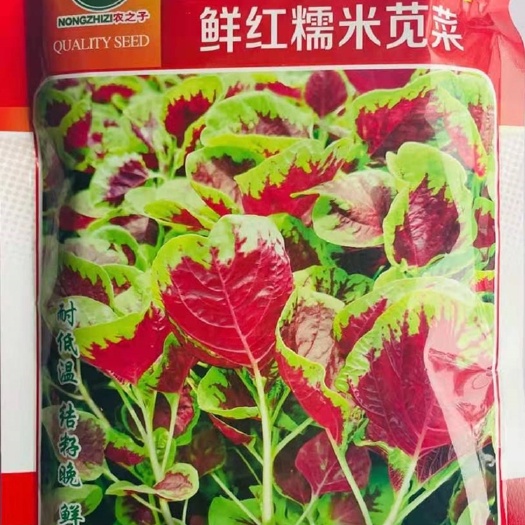 鲜红糯米苋菜种子.500克