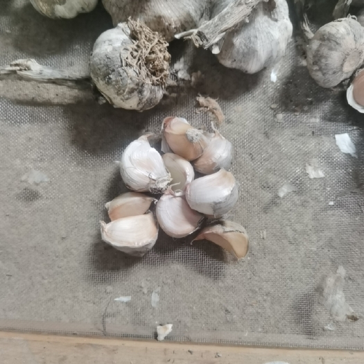 湄潭县农家大蒜