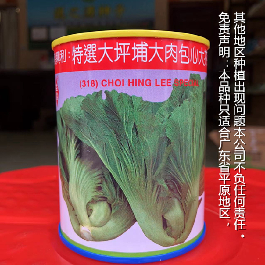 英德市益农特选大坪埔大肉包心大芥菜种子家庭园艺大田种植蔬菜种子