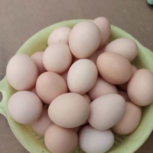 辉县市场地直供一手货源，精选优质金丹生态土鸡虫草蛋，新鲜无抗
