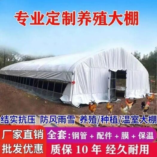 天津《推荐》养殖大棚骨架钢管保温养鸡场鸭鹅兔猪舍牛圈羊棚搭建