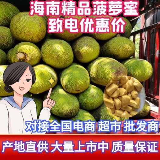 菠萝蜜产地直发，果形饱满，香甜浓郁，一手货源，包找回头车！