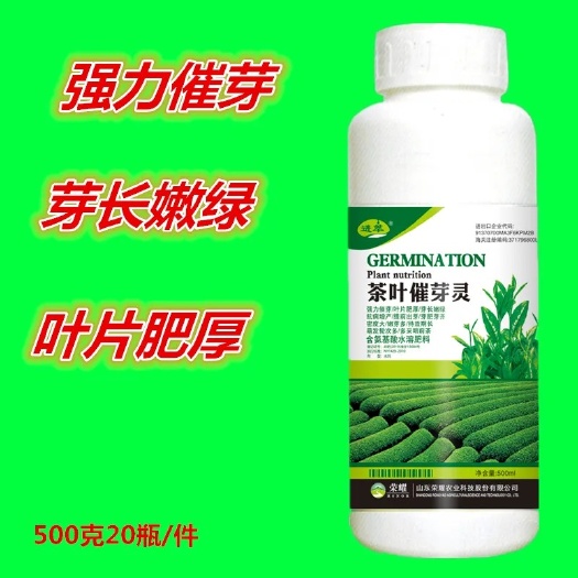 玉林叶面肥茶叶催芽灵500克茶树专用绿叶嫩芽多粗高产生根壮苗剂增