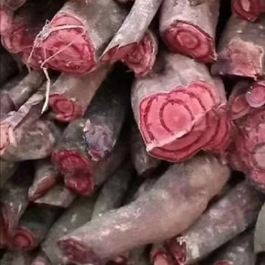 云县新鲜鸡血藤