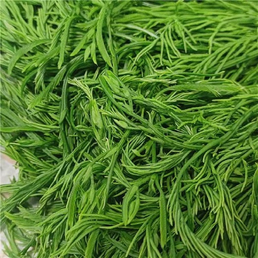 芒市野生怕哈菜