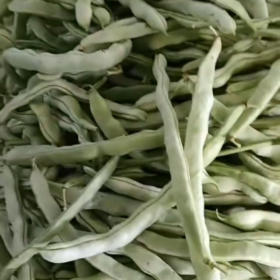 白不老豆角