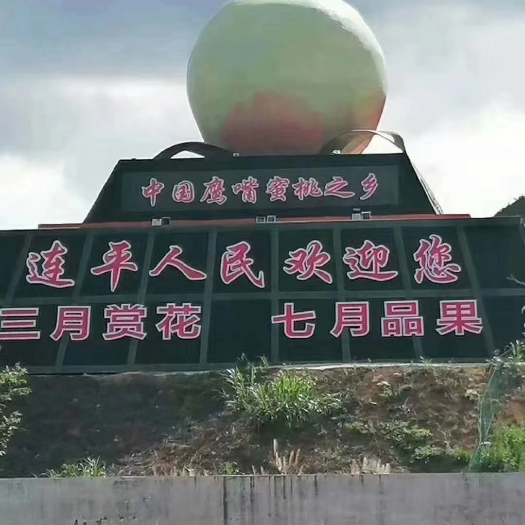 连平县上坪鹰嘴密桃