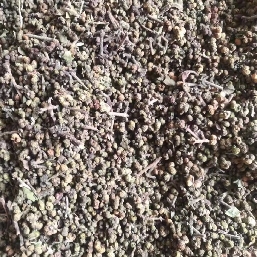 阳新县全干吴茱萸
