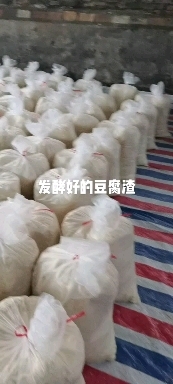 博白县豆腐渣