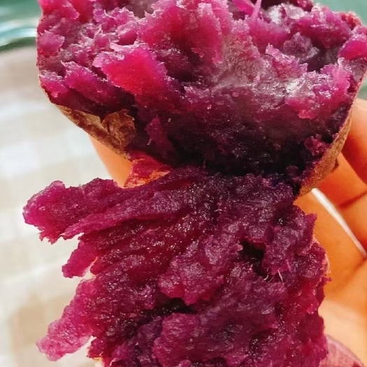 邹城市紫罗兰紫薯  基地直供3两起精品紫罗兰商品薯，超市，电商，社