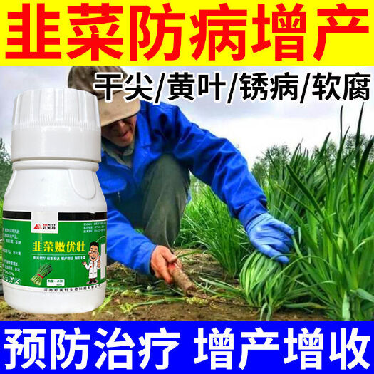 栾川县韭菜嫩优壮 韭菜生根壮苗 预防叶干叶黄病虫害 韭菜水溶肥
