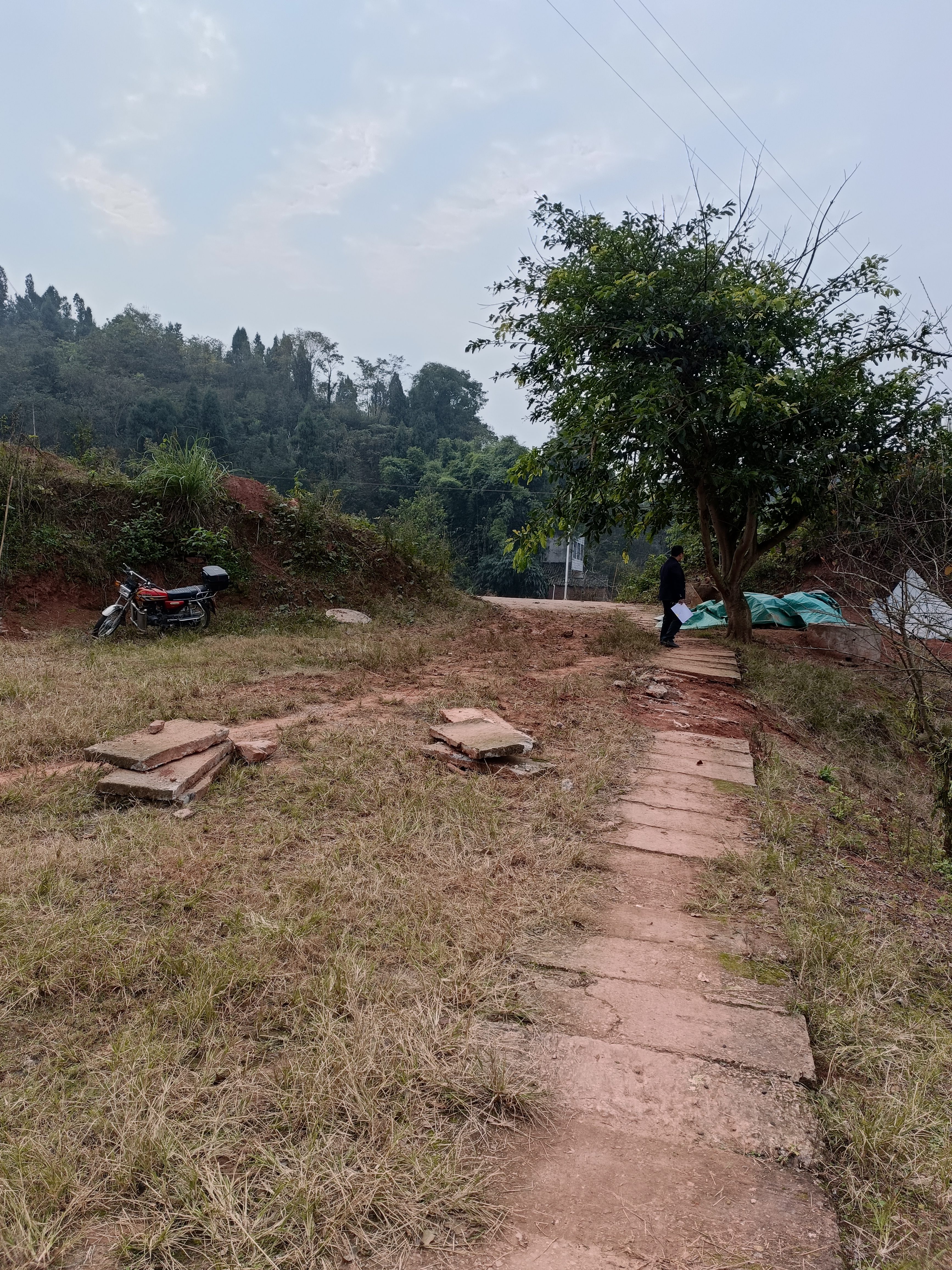 荣昌300亩平整蔬菜用地，有灌溉系统土地非常平坦外面是一条河