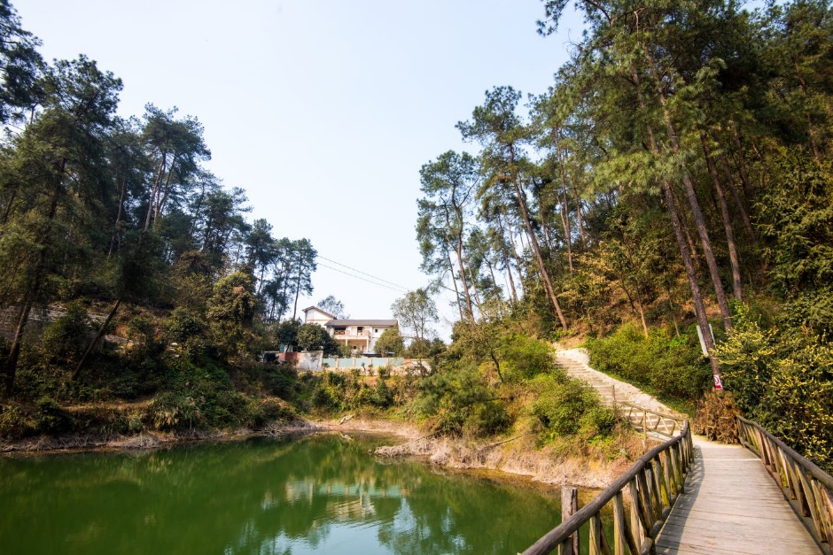 重庆南山1000平半成品民宿转，毗邻南山植物园,群山环抱,