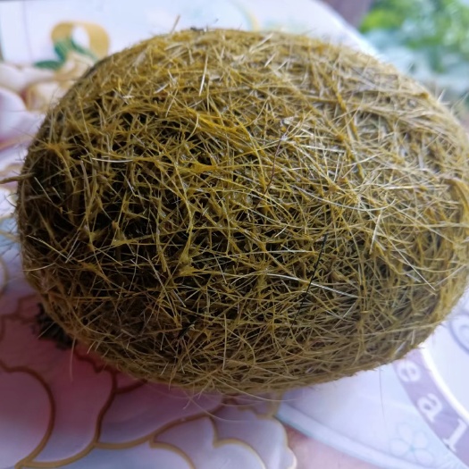 铜仁猪宝