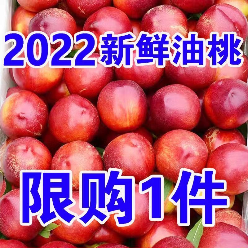 10斤【现货速发】黄心油桃新鲜应季水果现摘非水蜜桃毛桃整
