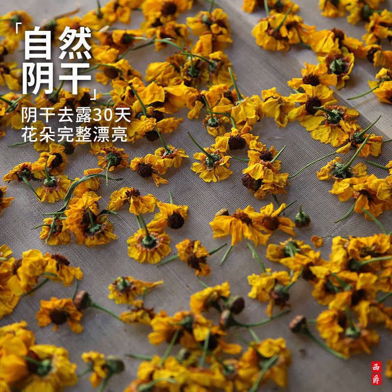 2023頭茬大花雪菊 昆侖山高海拔天然 80g包郵起批拿樣