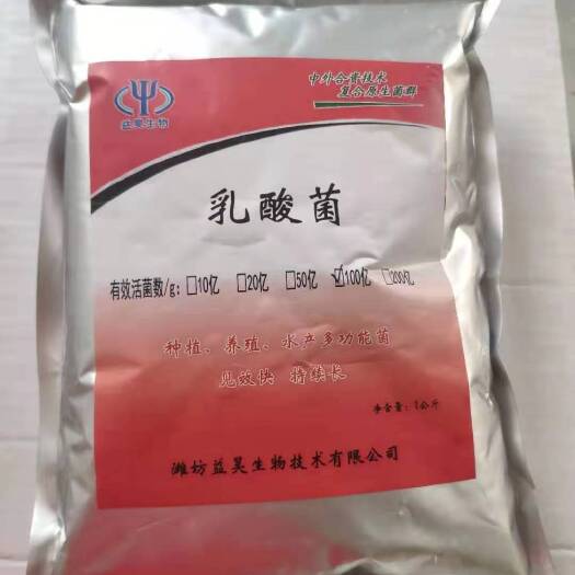 昌乐县乳酸菌在水产养殖上的应用