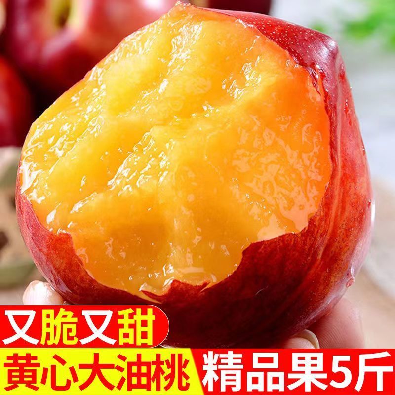 10斤【现货速发】黄心油桃新鲜应季水果现摘非水蜜桃毛桃整