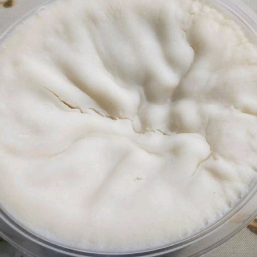 广州猪油