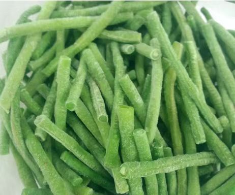 沧县速冻豇豆段 速冻长豆角 速冻蔬果 冷冻豇豆段速冻豆角