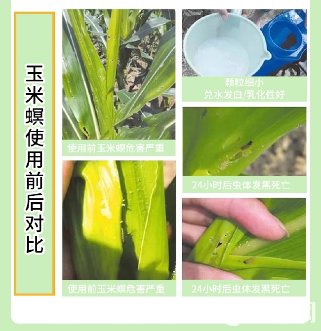 斗八方甲维虫螨腈晴农药杀虫剂高效水稻果树蔬菜蜻青虫钻心虫大全