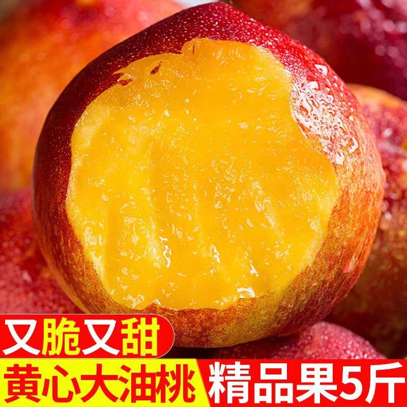 10斤【现货速发】黄心油桃新鲜应季水果现摘非水蜜桃毛桃整