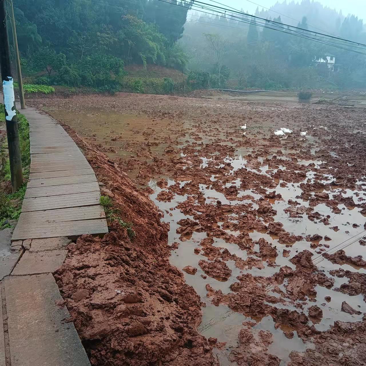 荣昌300亩平整蔬菜用地，有灌溉系统土地非常平坦外面是一条河