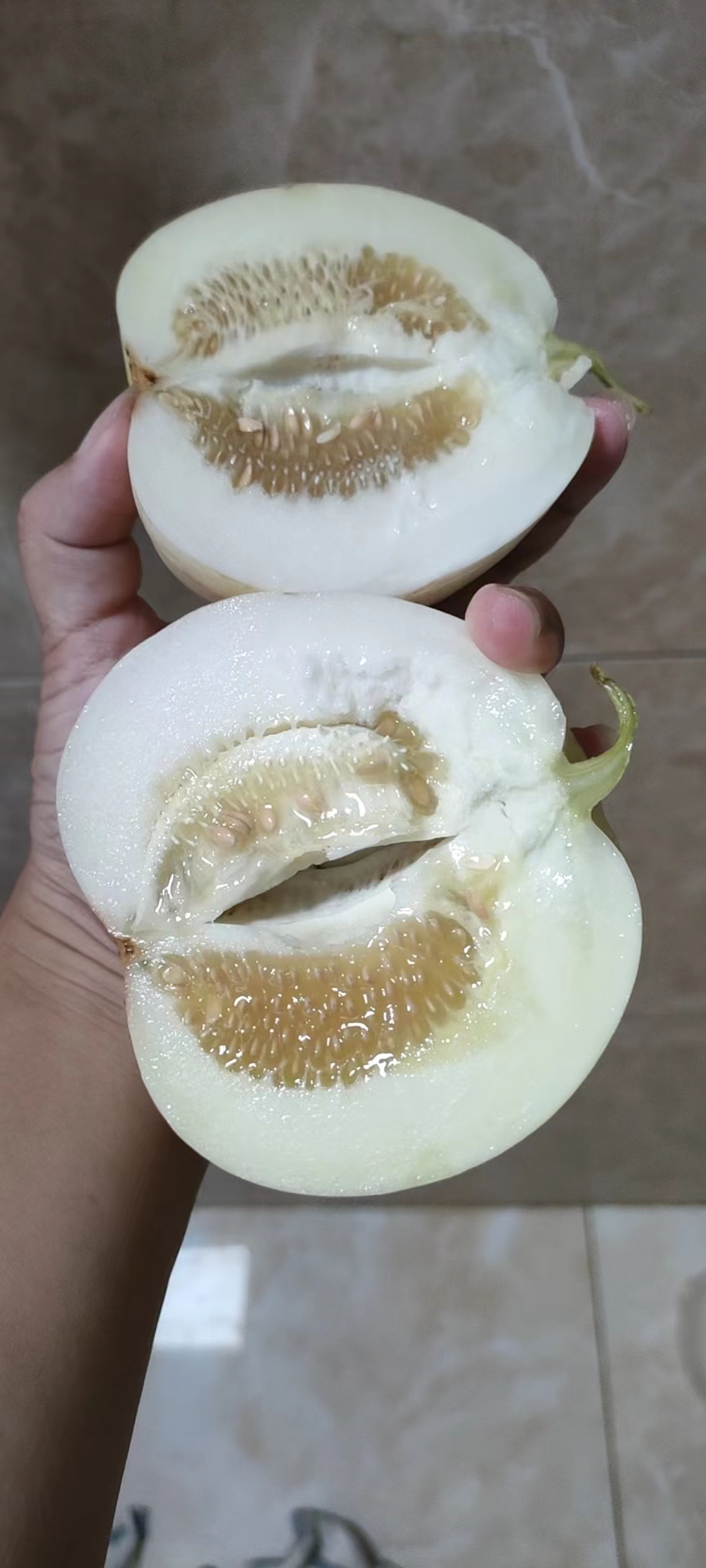 新鲜美浓甜瓜大量上市，基地直采，现采现发