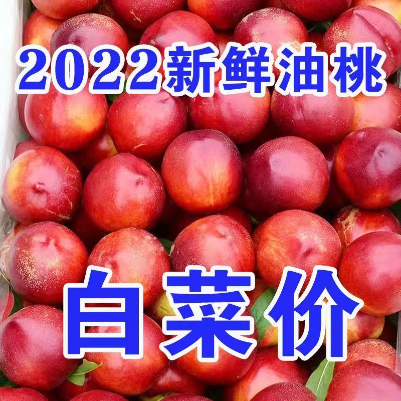 10斤【现货速发】黄心油桃新鲜应季水果现摘非水蜜桃毛桃整