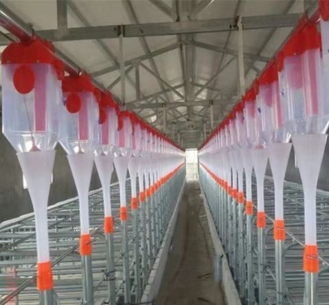 泊头市养殖场8升圆形方形定量桶饲料计量器母猪定量杯喂猪自动下料器