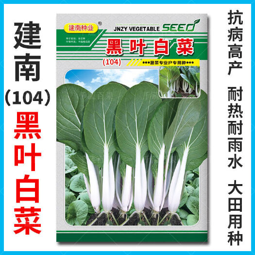 104黑叶白菜种籽高产抗病耐热耐雨水四季小白菜种子大田蔬菜种