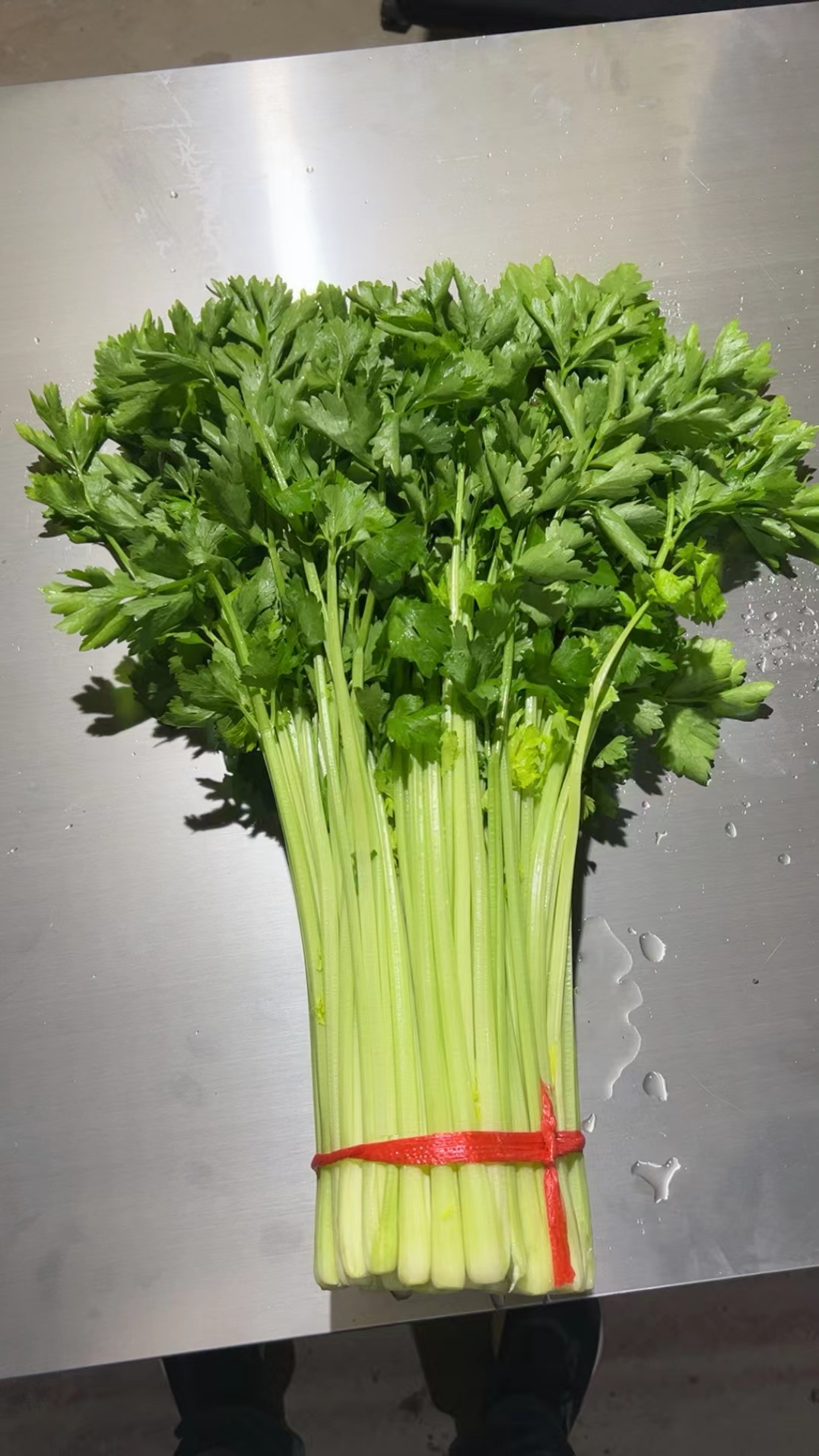 毛芹     高原夏菜，产地直销，诚信为本，欢迎各位老板至电