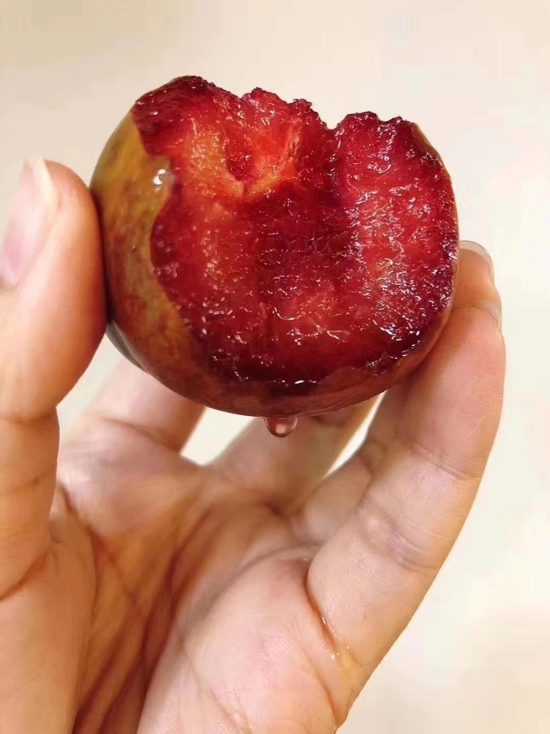 新疆杏李高货味帝龟玆龙珠（恐龙蛋）欢迎团购微商电商，新疆直发