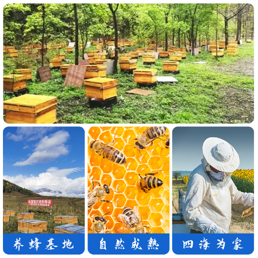 成都大桶散装50公斤百花蜂蜜产品洋槐散装药蜂蜜批发糕点地摊蜂蜜厂