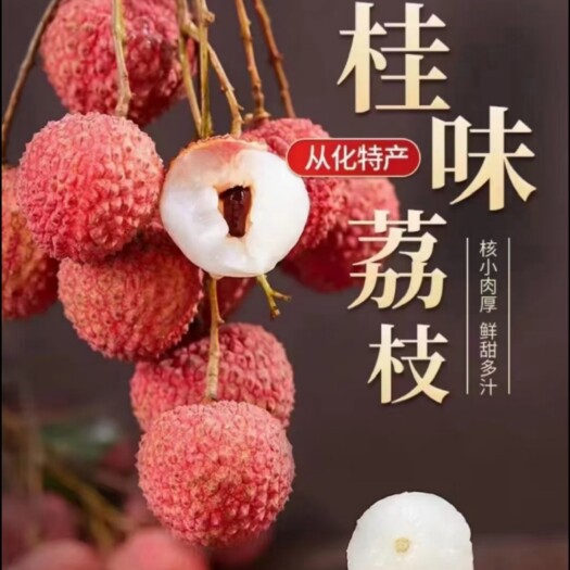 广州从化桂味