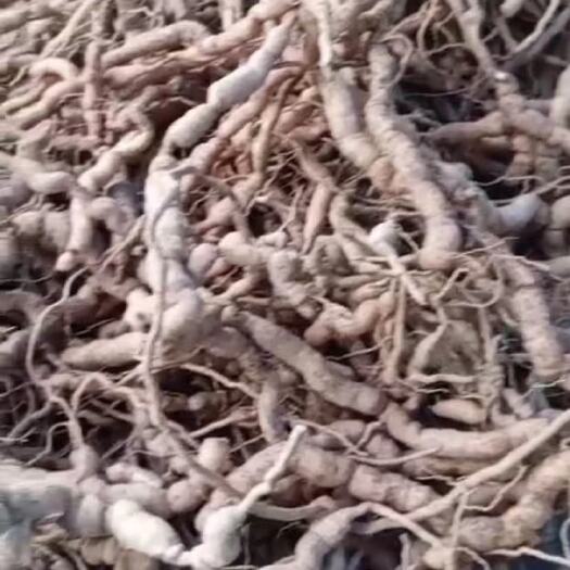 阳春市鸡肠风保证假一赔十