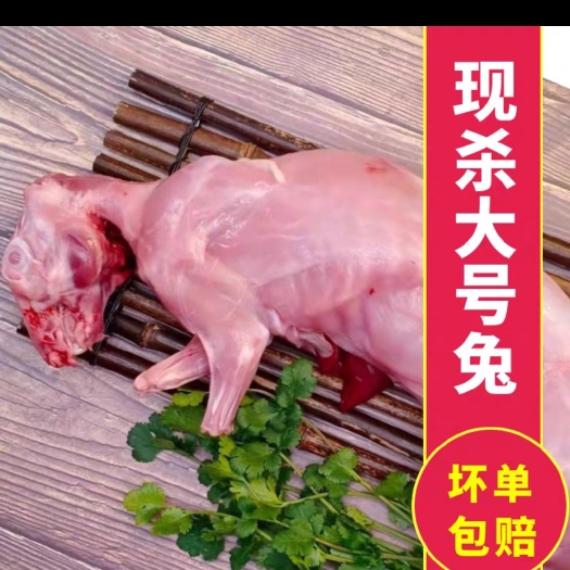 商河县新鲜兔肉农家兔现宰现杀速冻饭店超市