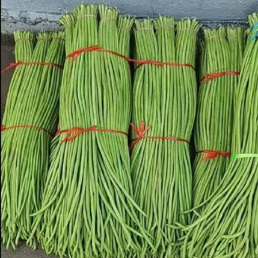邯郸量大，质量好