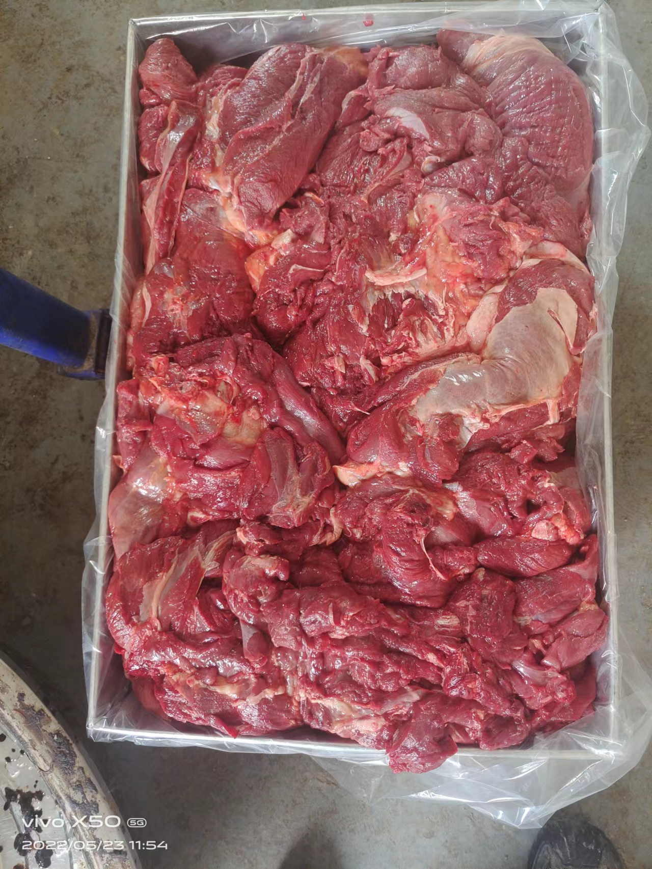 鲜驴肉 鲜马肉 腿肉带腱子 肋条肉  全部现宰鲜冻