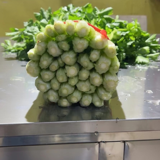 毛芹     高原夏菜，产地直销，诚信为本，欢迎各位老板至电