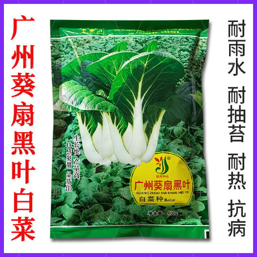 广州广州葵扇黑叶白菜种耐热耐雨水高产小白菜种孑四季菜种籽蔬菜种子