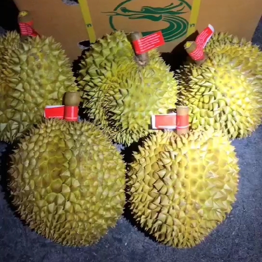 广州泰国金枕榴莲一手货源一件代发