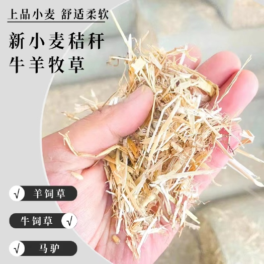 宿州牛羊牧草饲草小麦玉米稻草秸秆揉丝粉碎