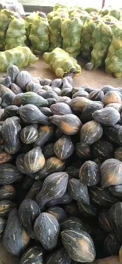 襄樊基地直供香芋南瓜