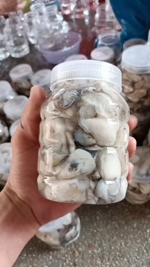 饶平县潮州大生蚝肉